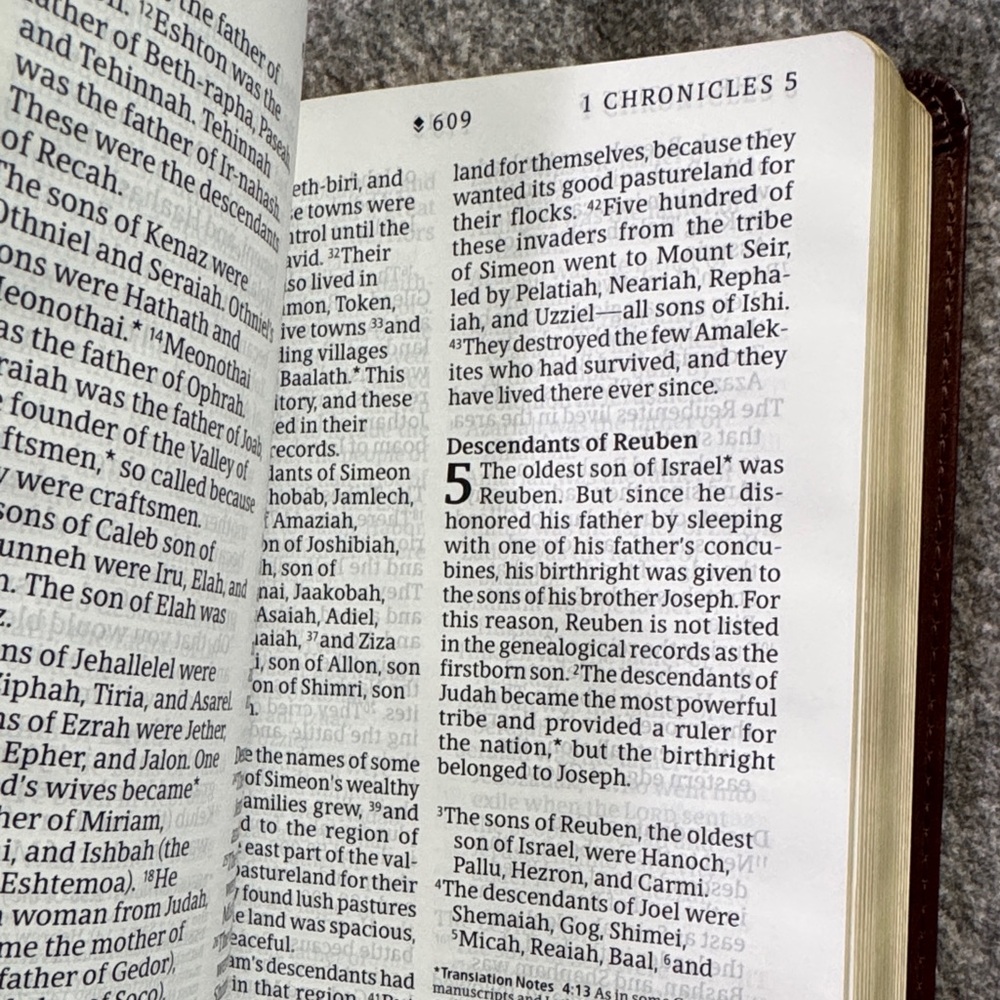 NLT Compact Giant Print Bible Leather Like Embossed Design - Picture 5 of 5